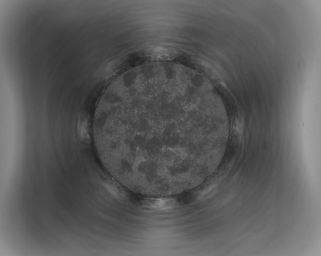 X0000112160663200908071139