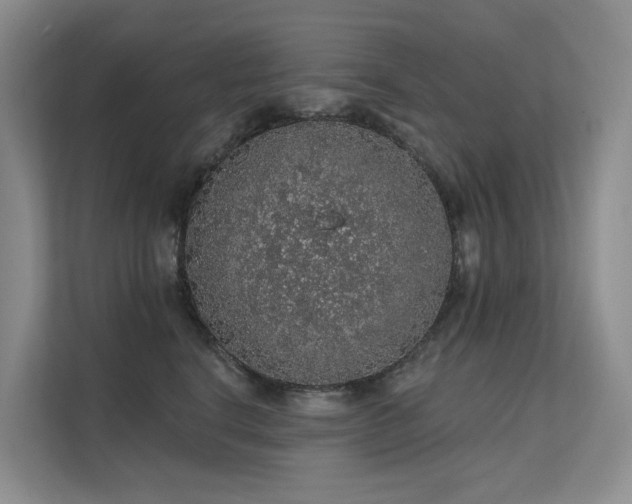 X0000112160664200908071139