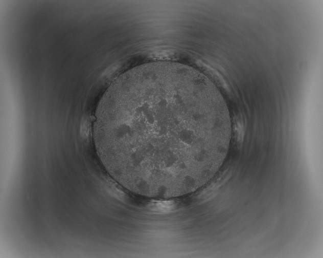 X0000112160665200908071139