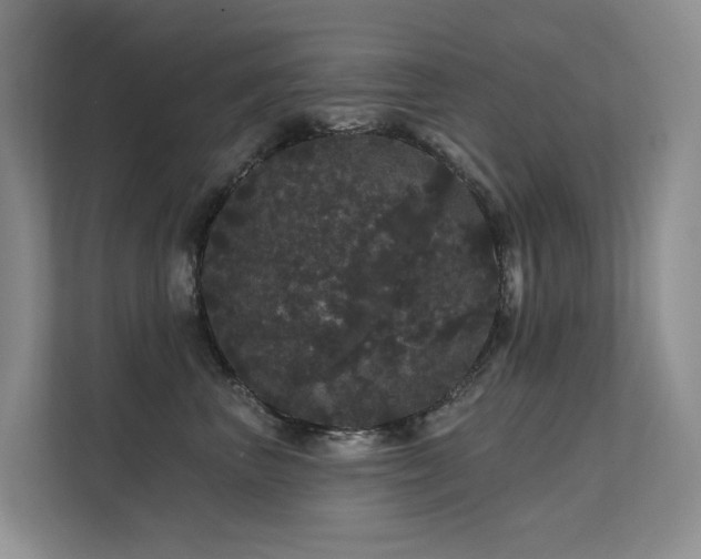 X0000112160667200908071139