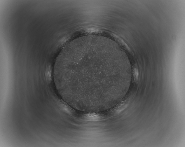 X0000112160668200908071139