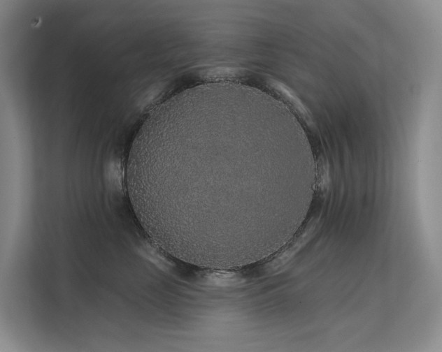 X0000112160669200908071139