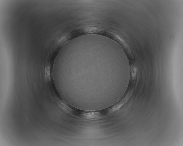 X0000112160670200908071139