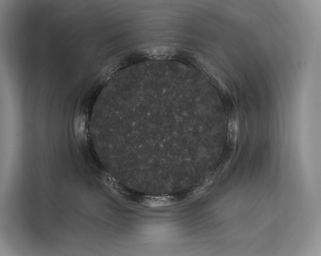 X0000112160671200908071139
