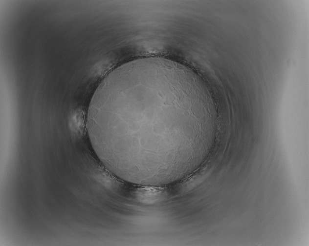X0000112160672200908071139