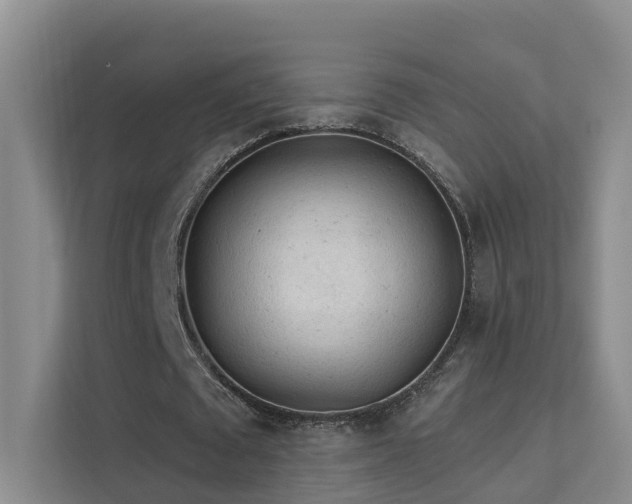 X0000112160673200908071139