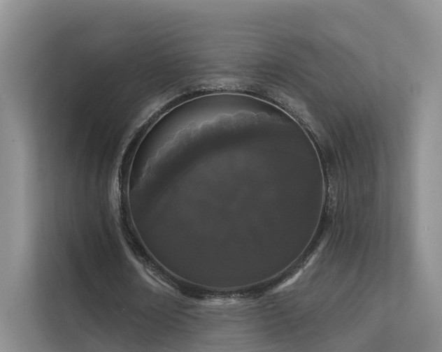 X0000112160674200908071139