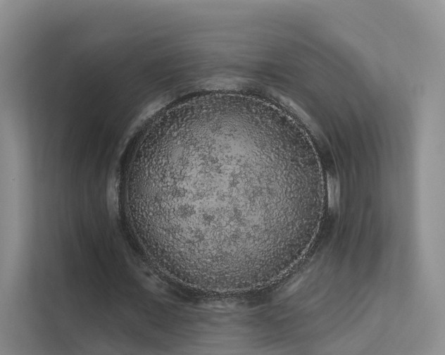 X0000112160675200908071139