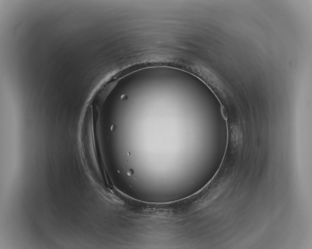 X0000112160676200908071139