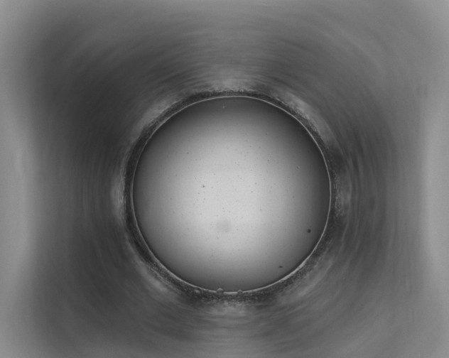 X0000112160677200908071139