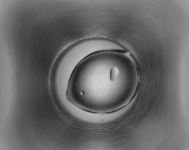 X0000112160680200908071138