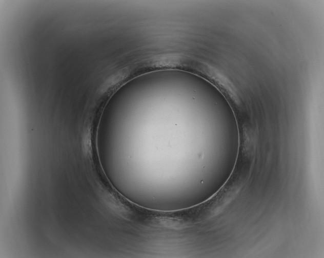 X0000112160681200908071138
