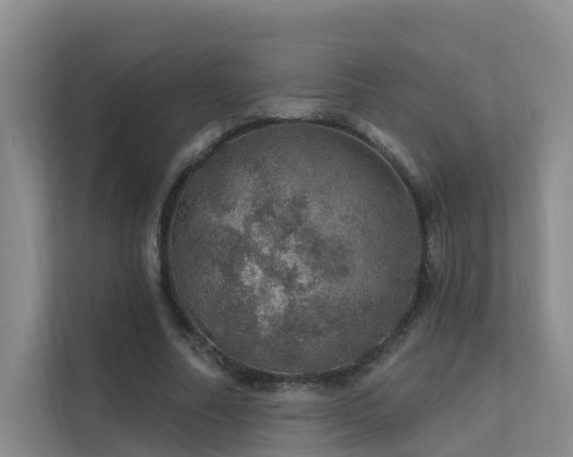 X0000112160682200908071138