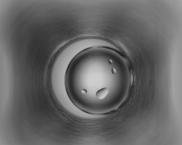 X0000112160684200908071138