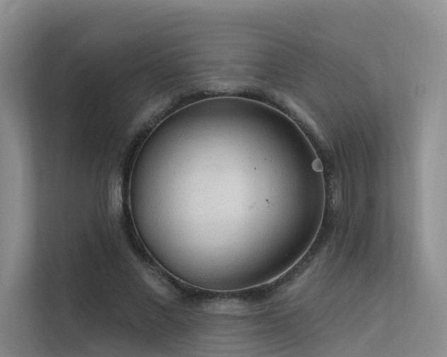 X0000112160685200908071138