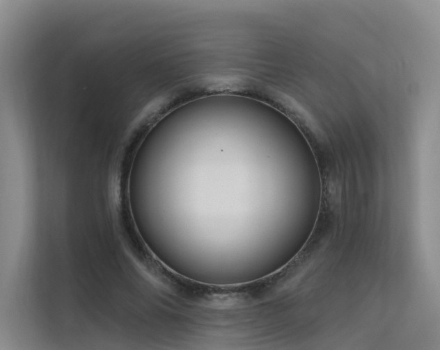 X0000112160686200908071138