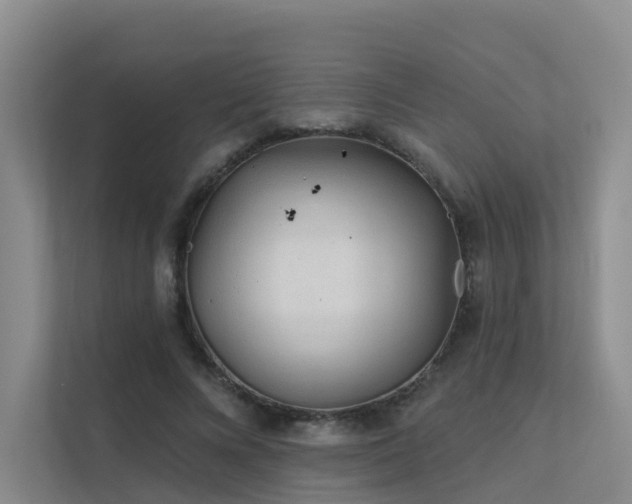 X0000112160688200908071138