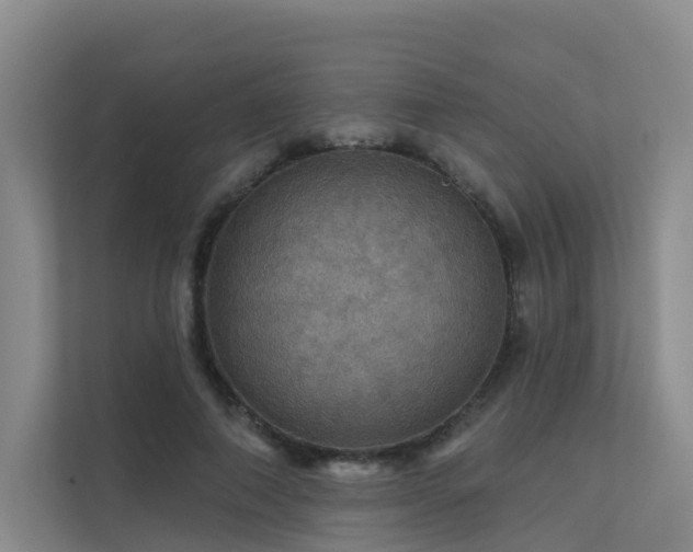 X0000112160690200908071138
