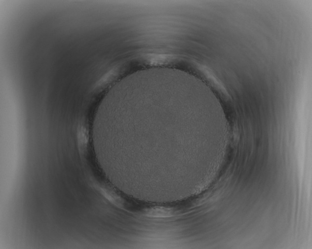 X0000112160691200908071138