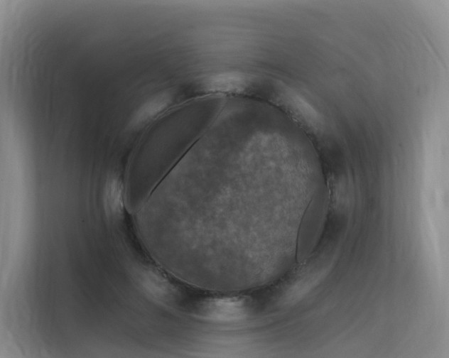 X0000112160692200908071138