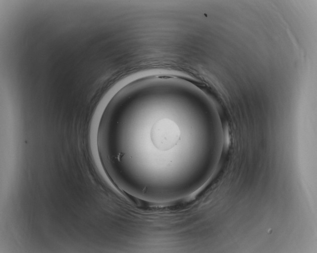 X0000112160693200908071138