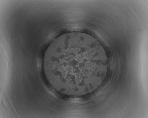 X0000112160695200908071138