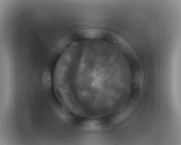 X0000112160696200908071138