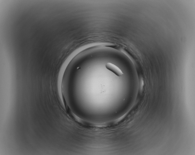 X0000112160697200908071138