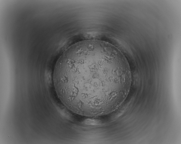 X0000112160699200908071138