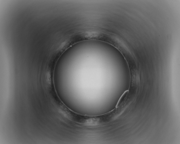 X0000112160700200908071138