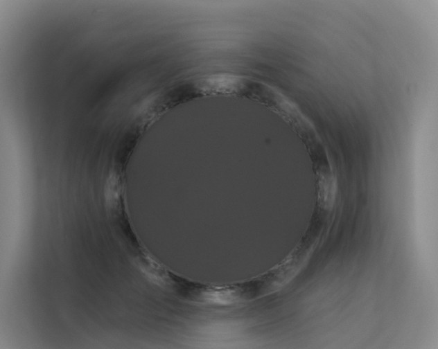 X0000112160701200908071138