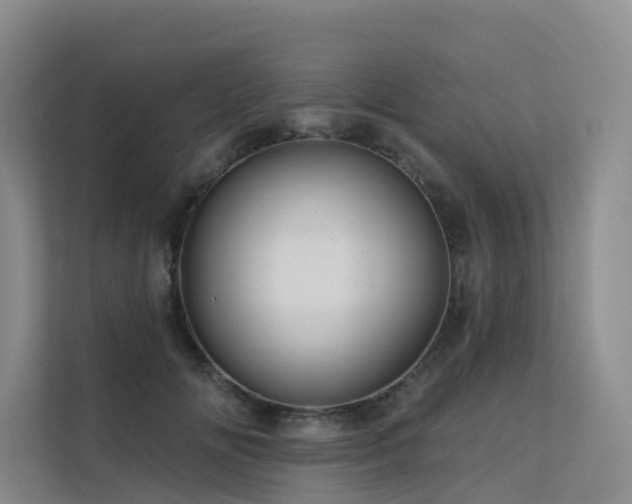 X0000112160702200908071138