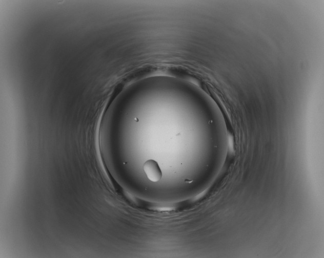X0000112160704200908071138