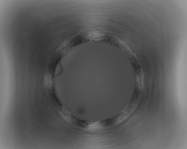 X0000112160705200908071138