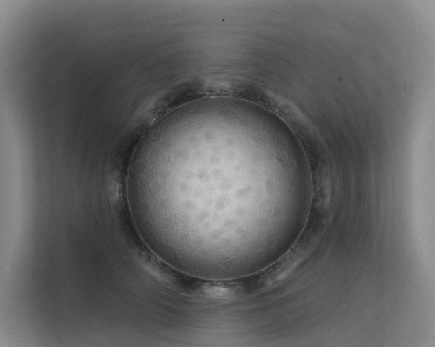 X0000112160706200908071138