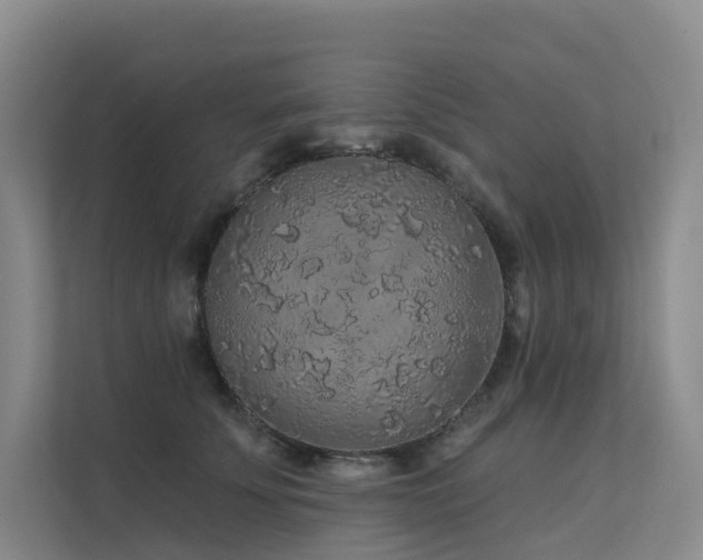 X0000112160707200908071138