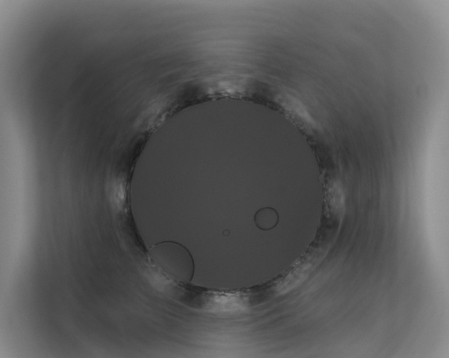X0000112160709200908071138