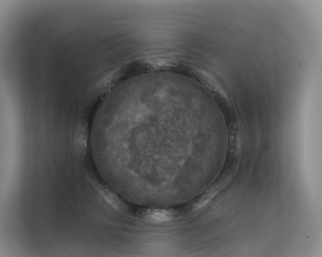X0000112160710200908071138