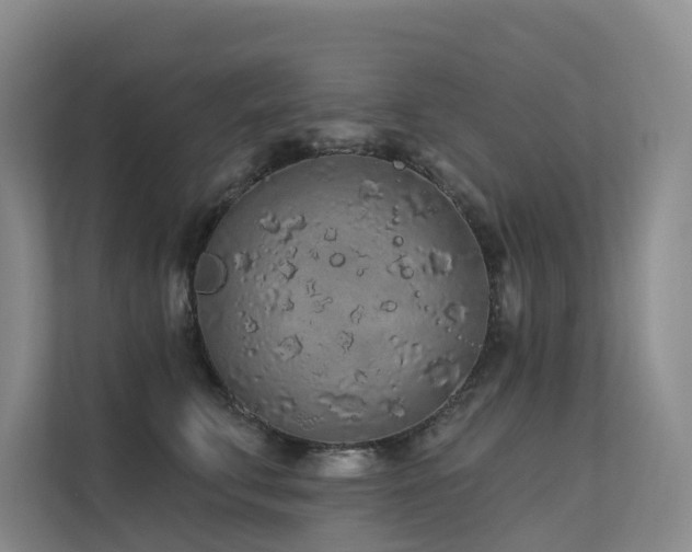 X0000112160711200908071138