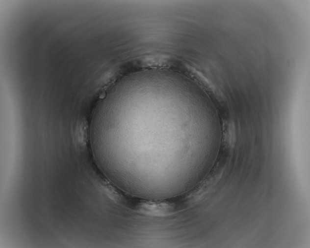X0000112160712200908071138