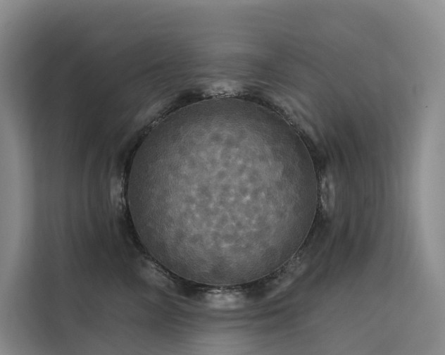 X0000112160714200908071138