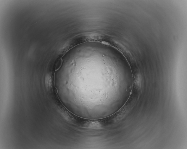 X0000112160715200908071138