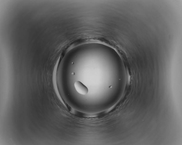 X0000112160716200908071138