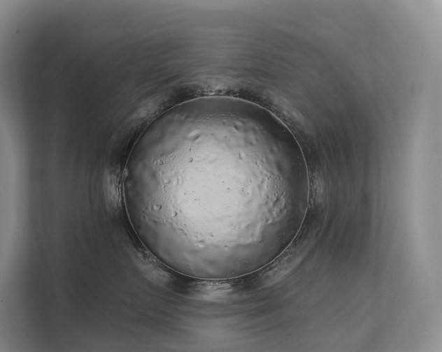 X0000112160719200908071138