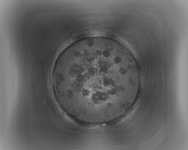 X0000112160721200908071137