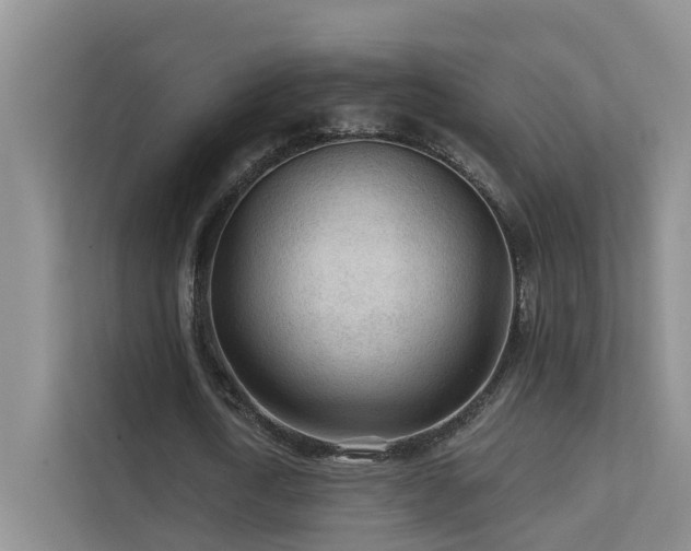 X0000112160722200908071137