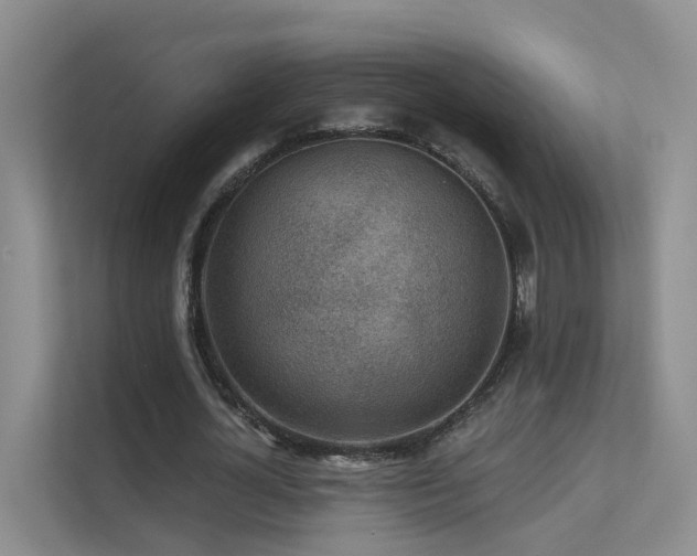 X0000112160724200908071137