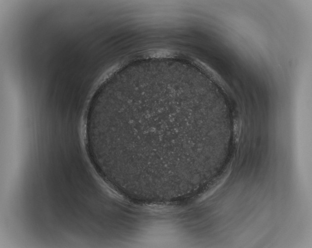 X0000112160725200908071137