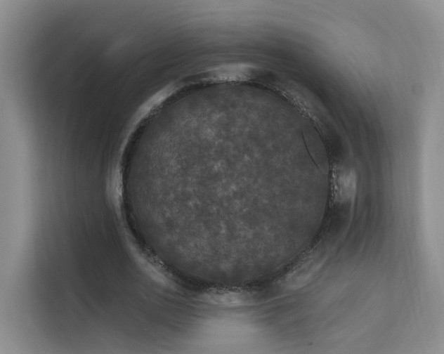 X0000112160726200908071137