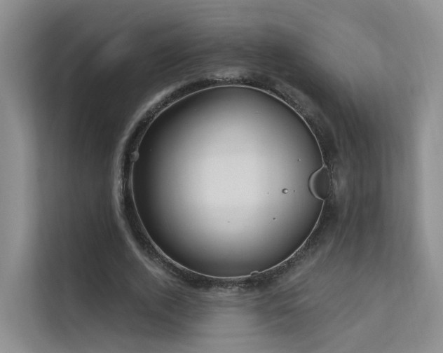 X0000112160728200908071137
